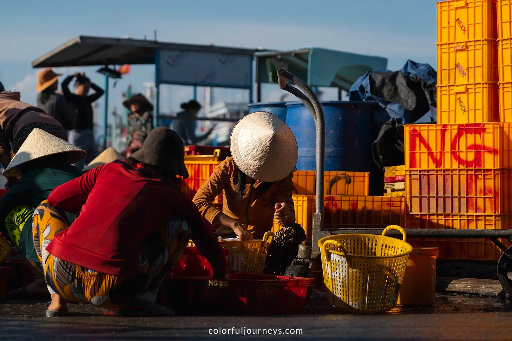 Women at a fish market in Vietnam
