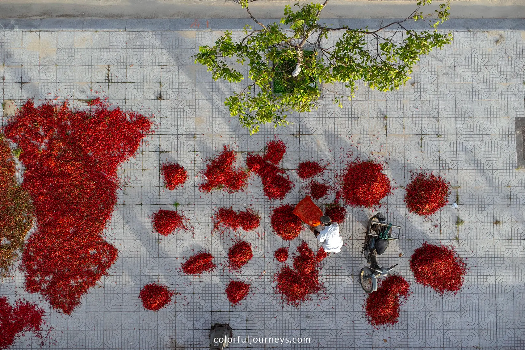 A man dries chillies on the pavement in Quang Ngai, Vietnam