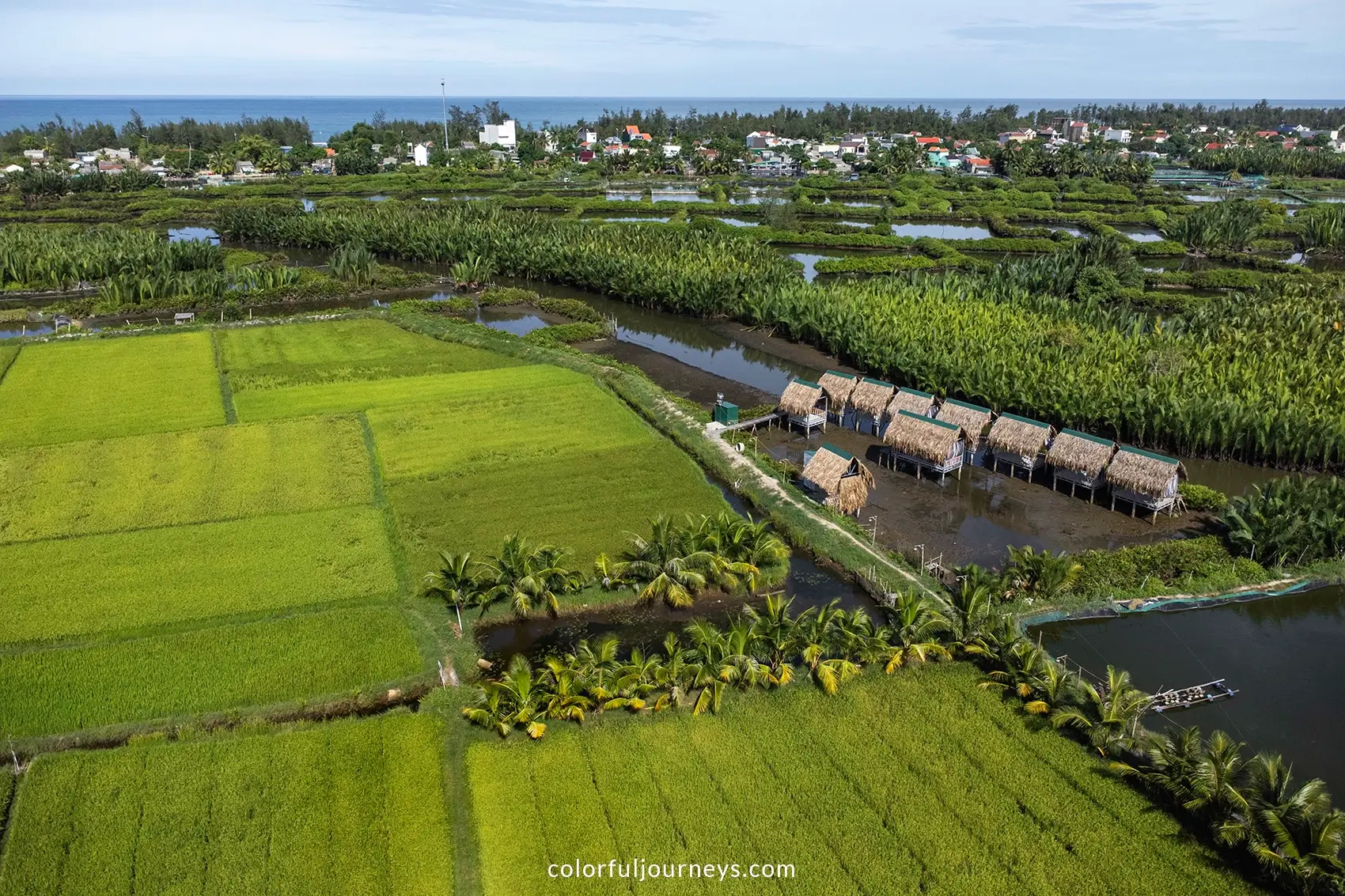 Nipa palm forest in Quang Ngai, Vietnam