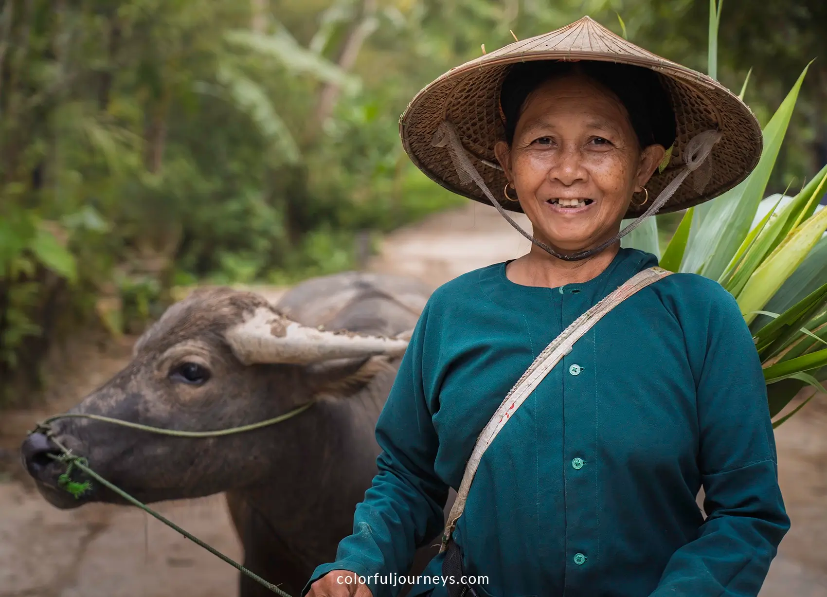 A woman wearing a conical hat poses for a photo with her buffalo in Vietnam