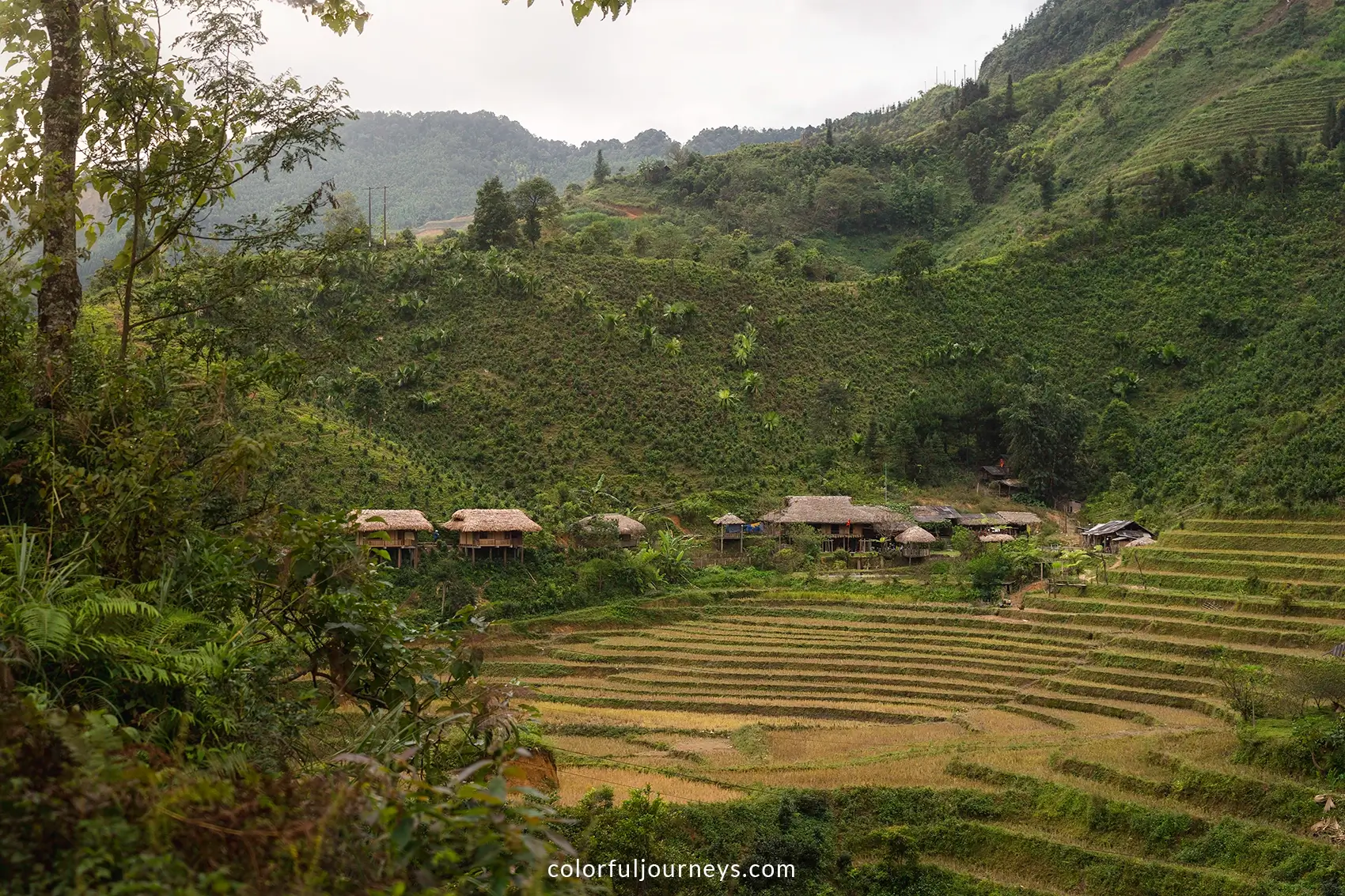 Ban Lien Village in Vietnam surrounded by mountains and rice paddies.