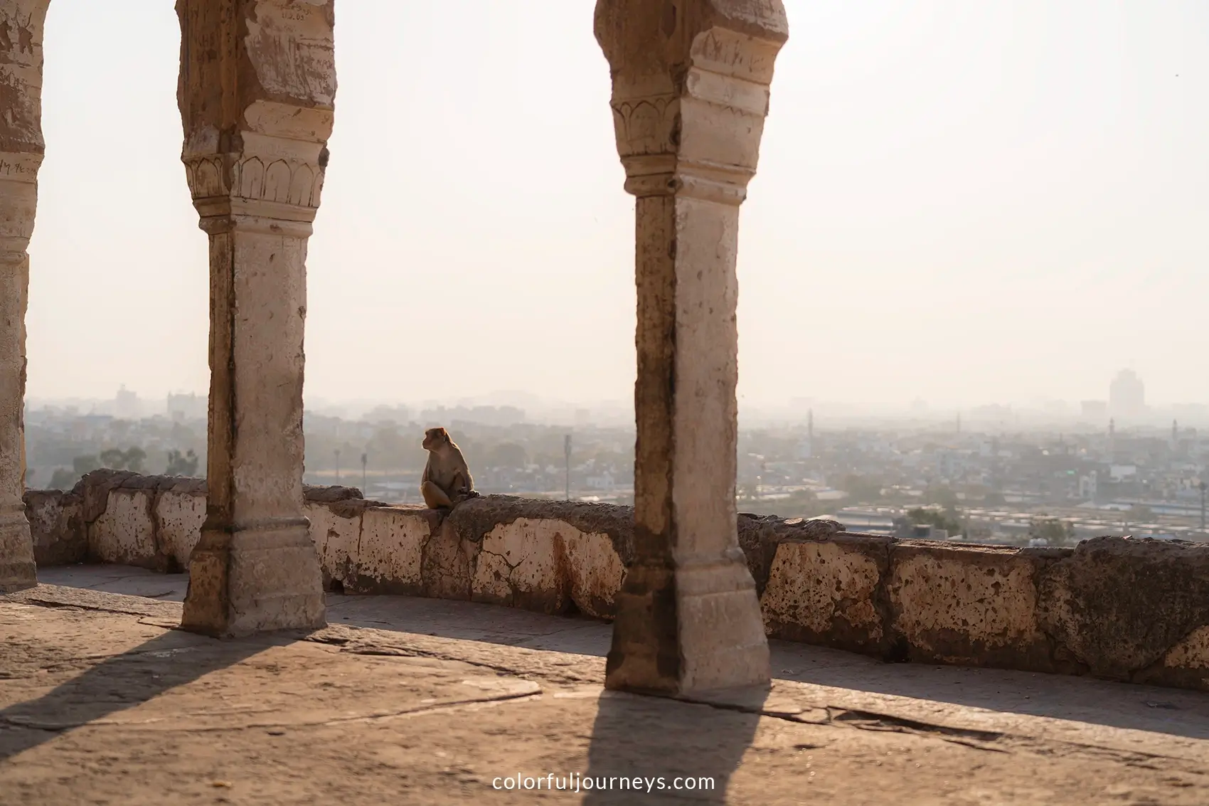 A monkey sits on the edge at Galta Ji, Jaipur