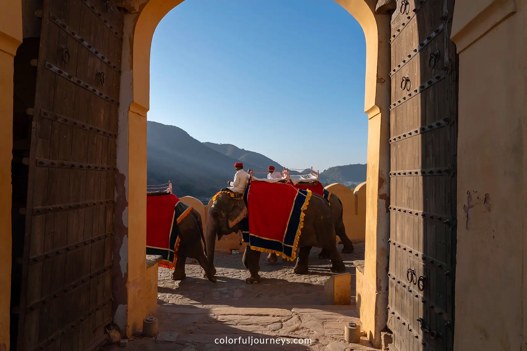 Elephants at a gate 