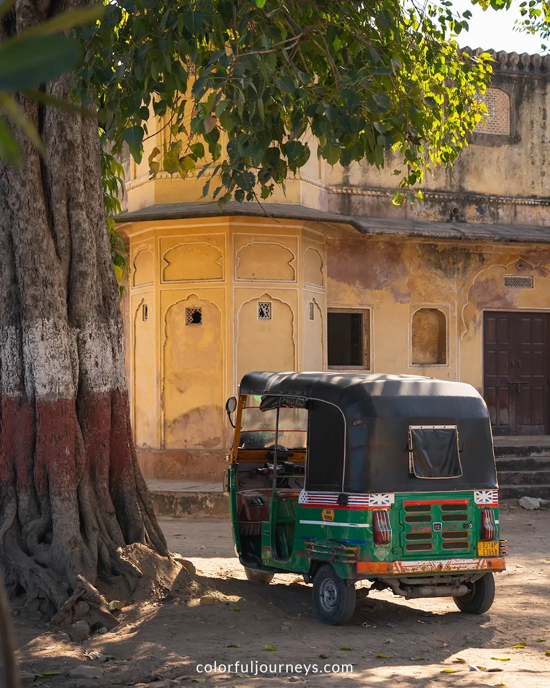 An auto-rickshaw underneath a tree in Jaipur, India