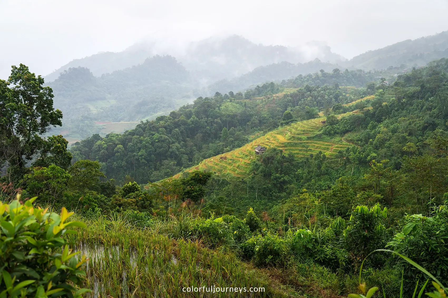 Mountains with rice paddies in Ha Giang, Vietnam