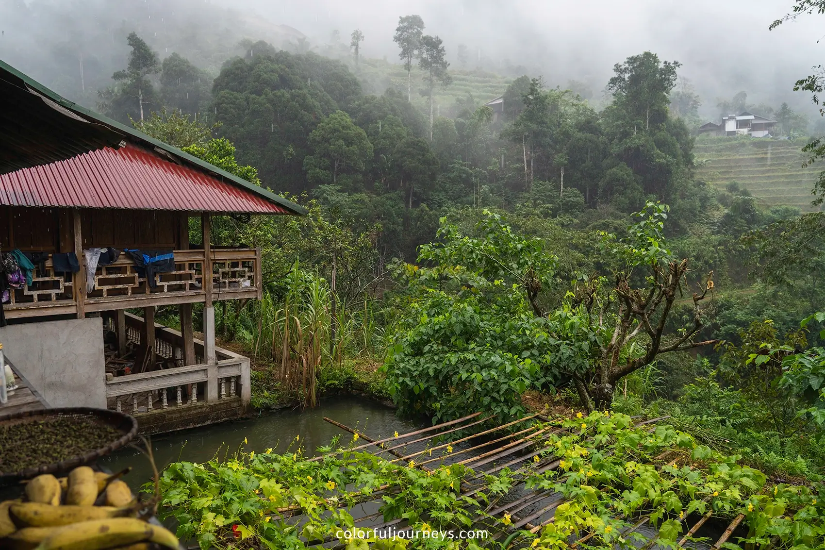 A homestay surrounded by forest and hills in Ha Giang, Vietnam