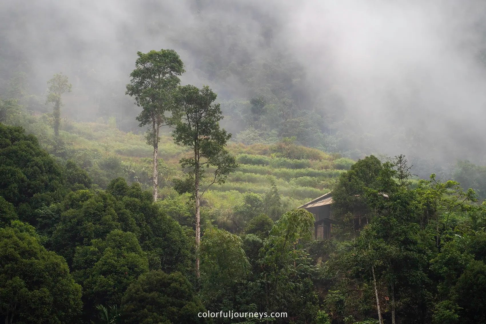 Misty hill slopes in Ha Giang, Vietnam