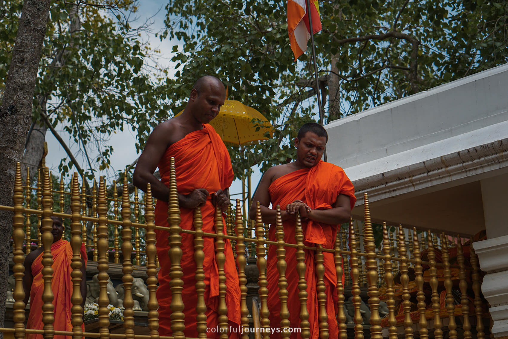 Monks dressed in orange robes at a temple in Anuradhapura, Sri Lanka. 