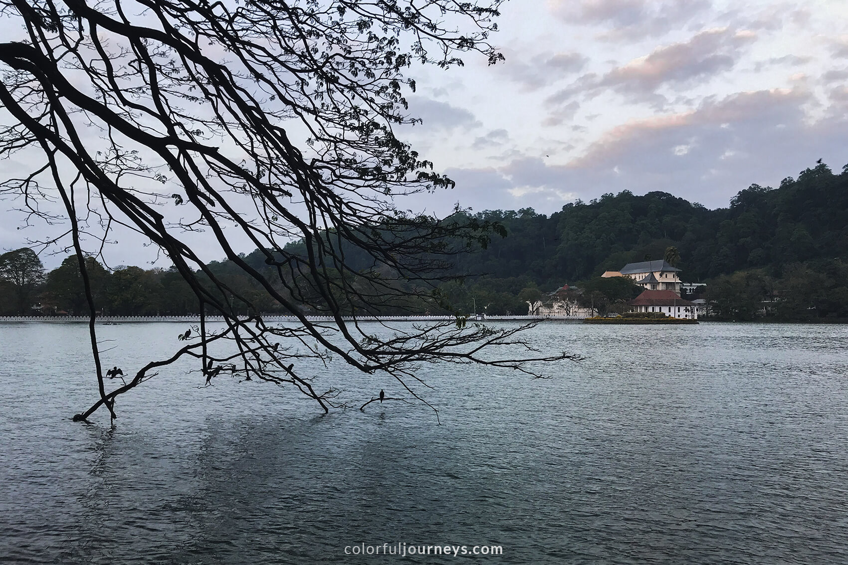 A view of Kandy Lake with the Temple of the Sacred tooth in the background.