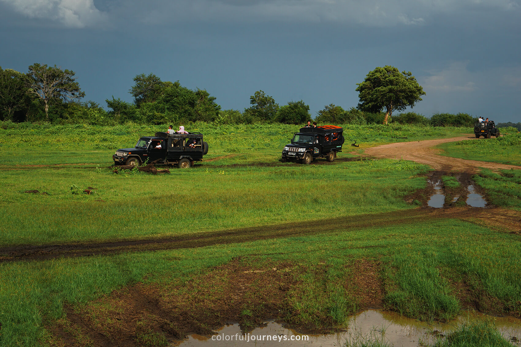 Off-road vehicles in Minneriya National Park