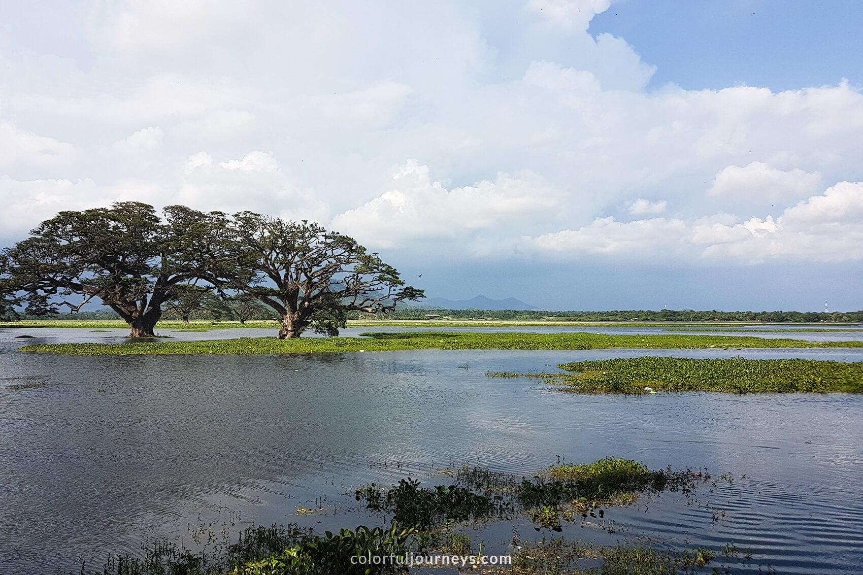 Blue skies above Tissa lake, Sri Lanka