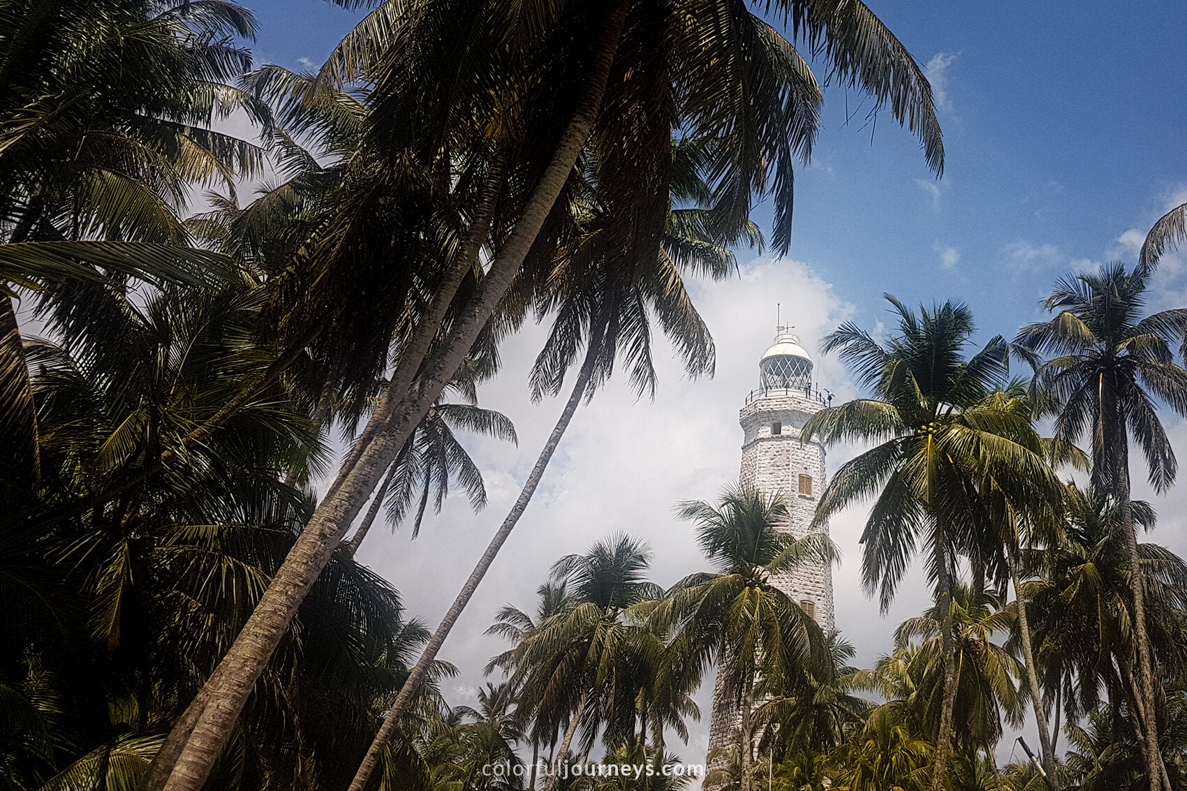 A white lighthouse surrounded by palm trees.