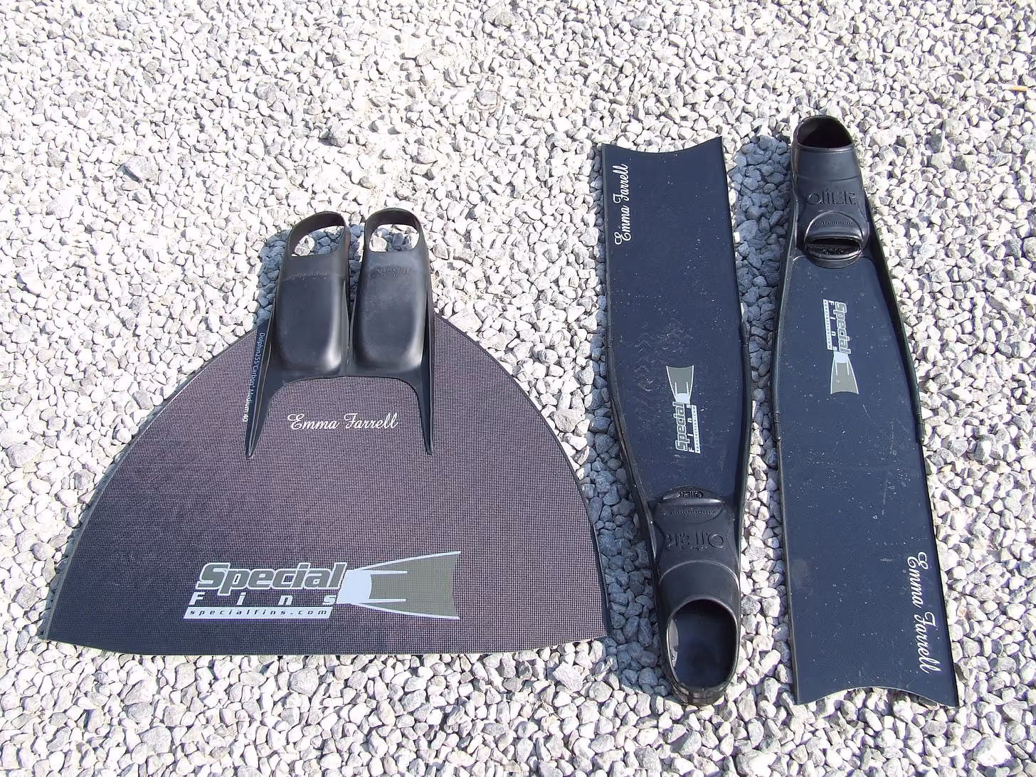 File:SpecialFins.jpg - Wikimedia Commons