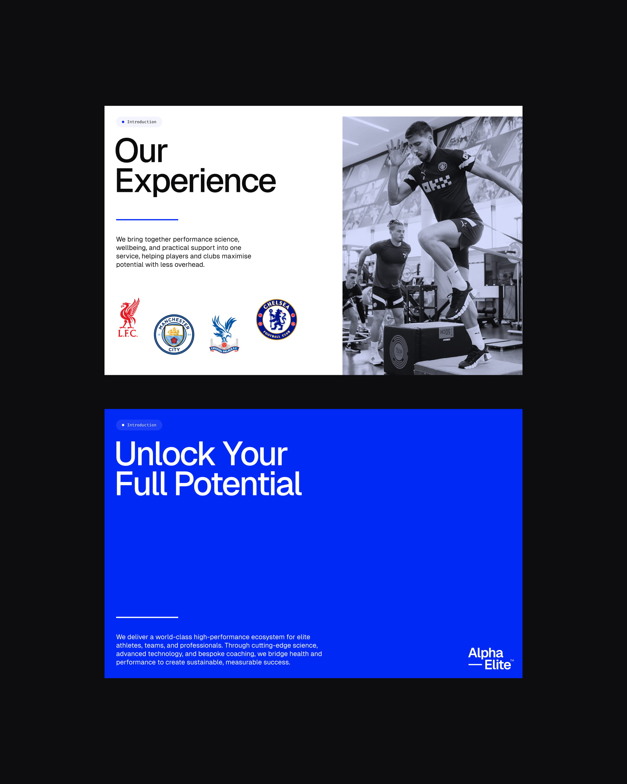 Alpha Elite PPT designs