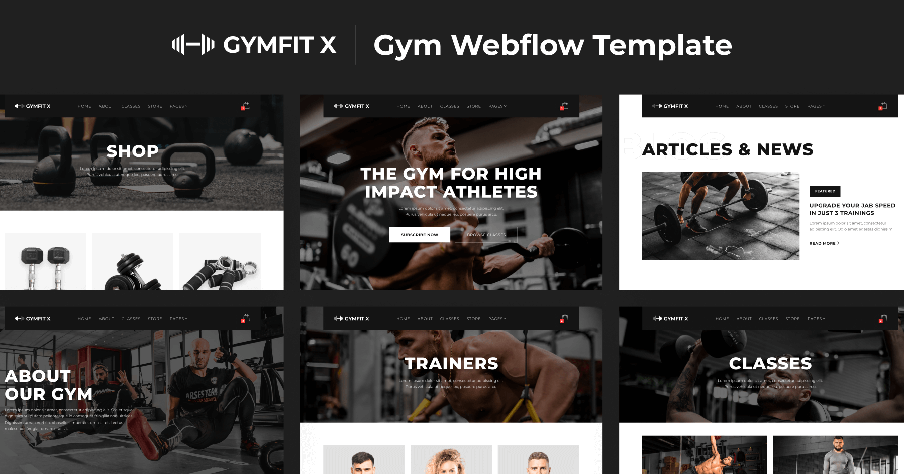 TEAM - UFC Performance Institute