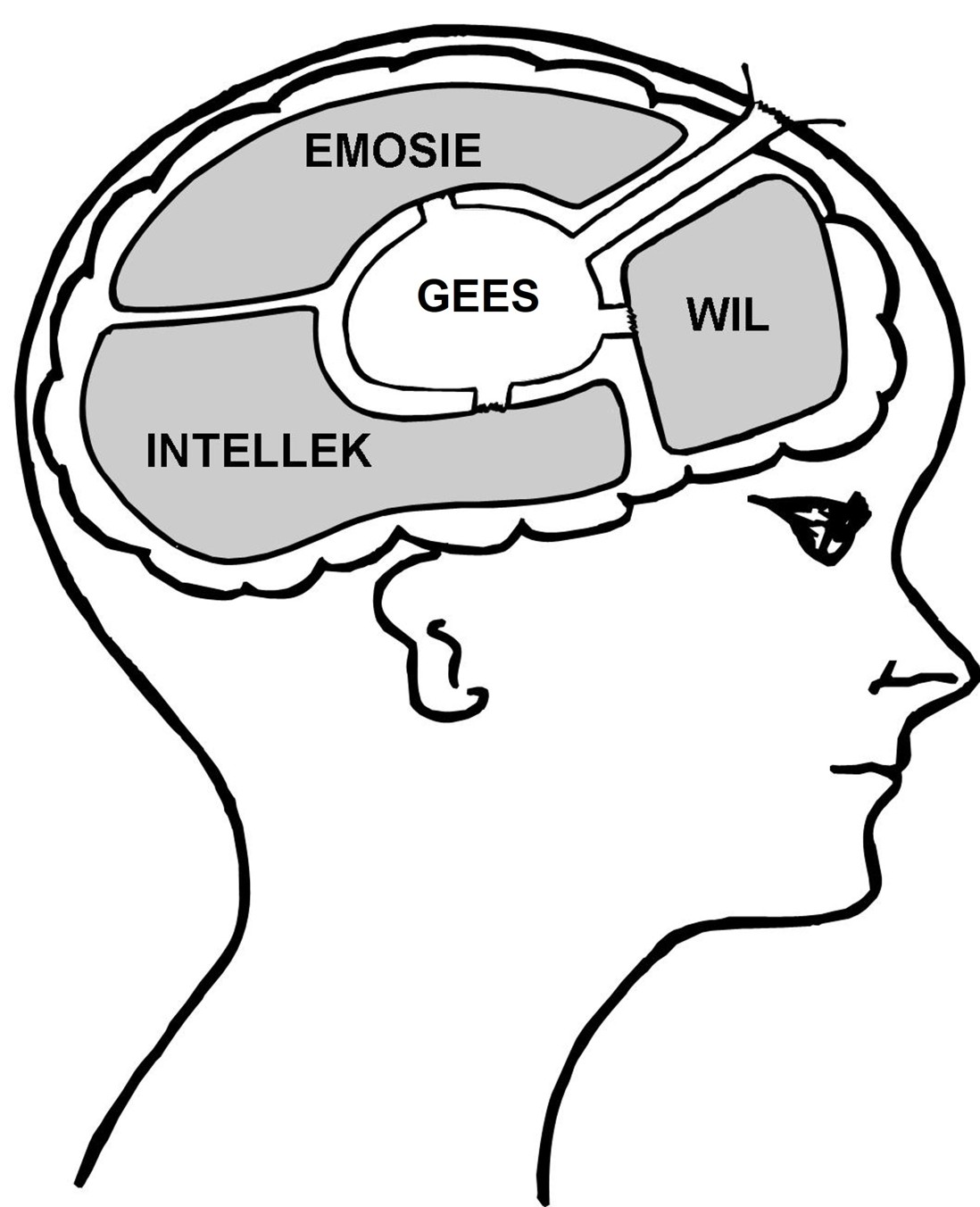 Wil, Intellek, Emosie
