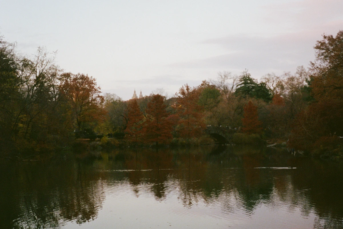 Articles from The Austin Stone