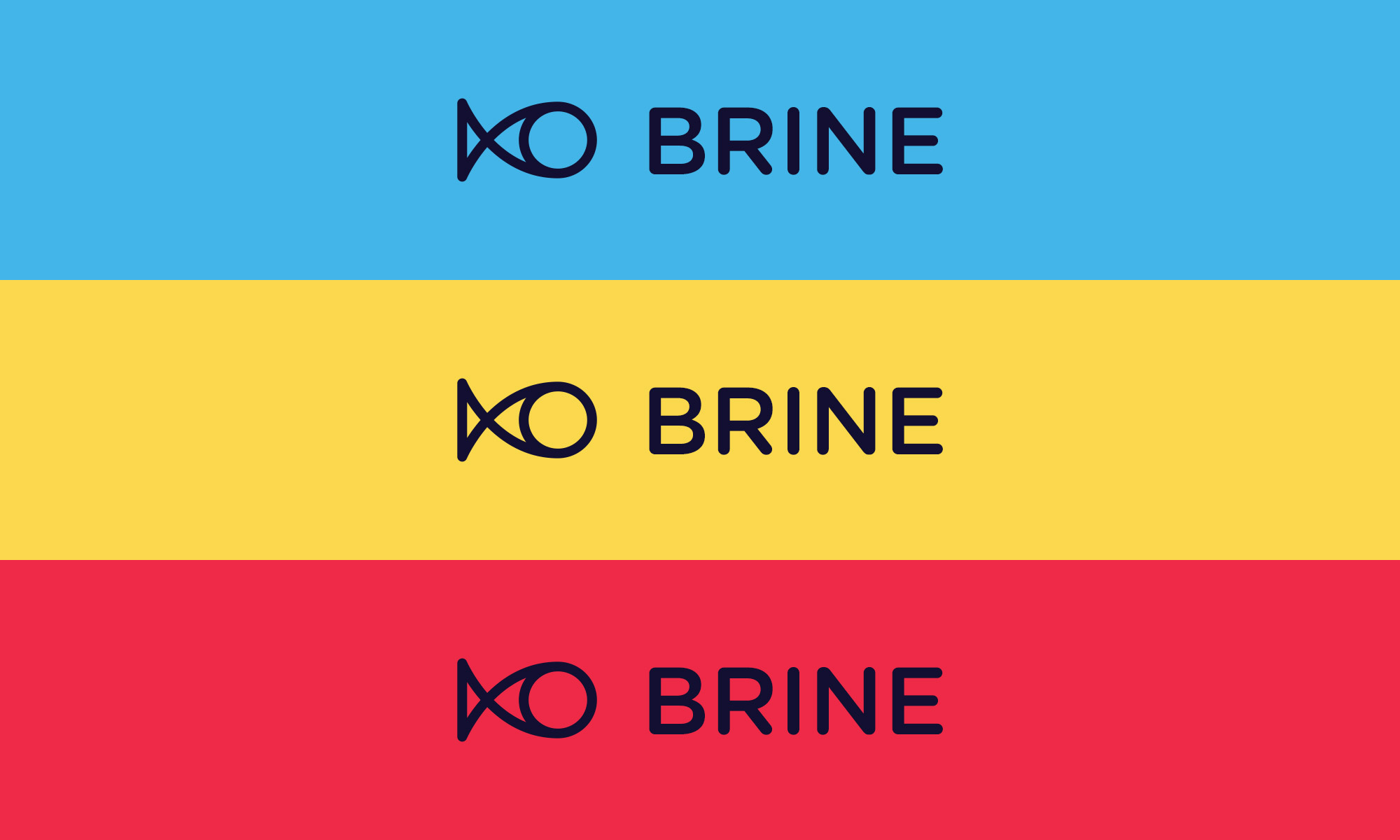 The Brine logo on a different colour backgrounds.