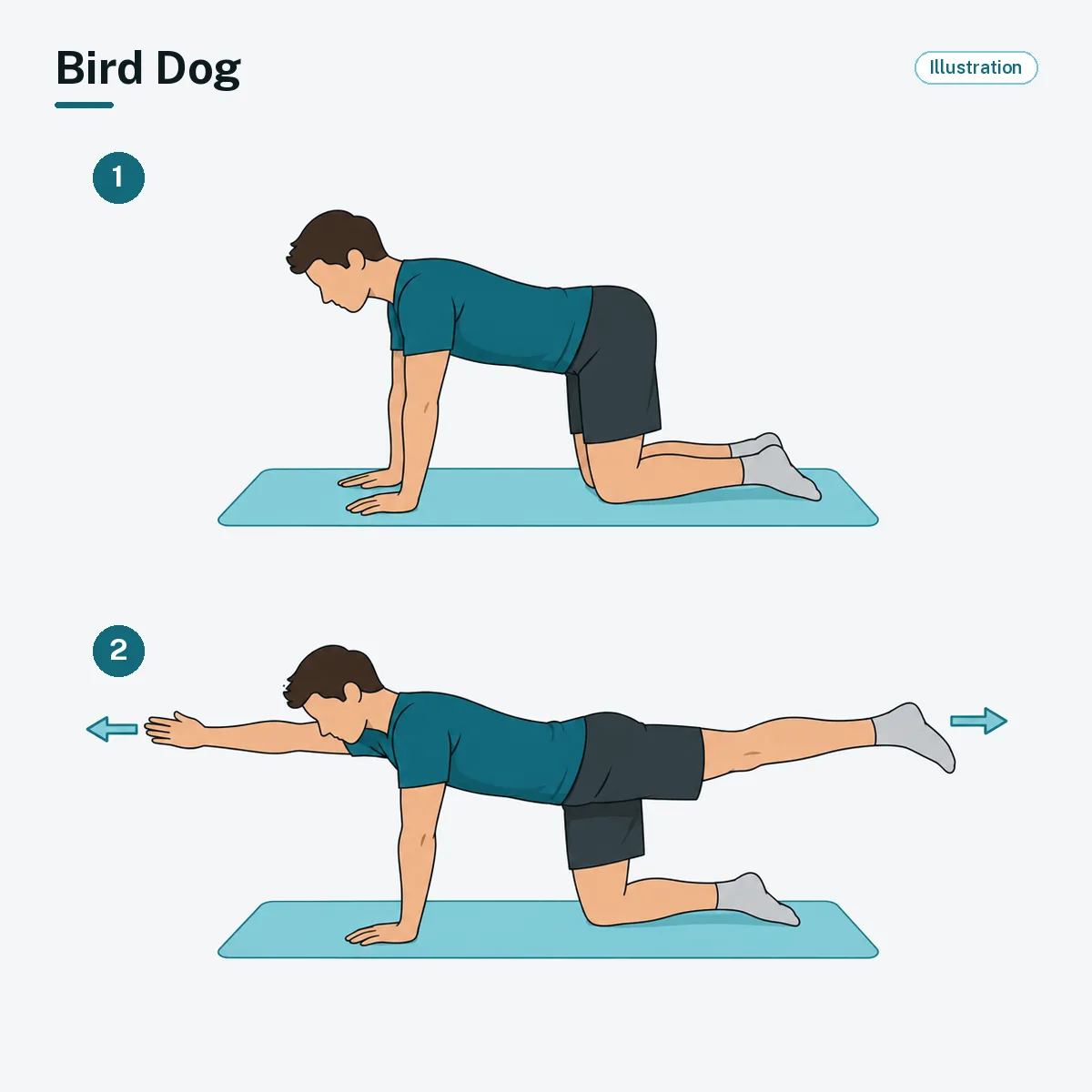 A person on hands and knees extends one arm forward and the opposite leg back, keeping the back level.