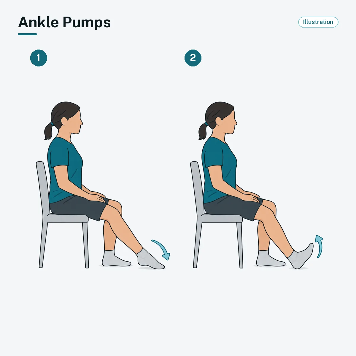 A seated person with one leg out points the foot down, then pulls the toes up.