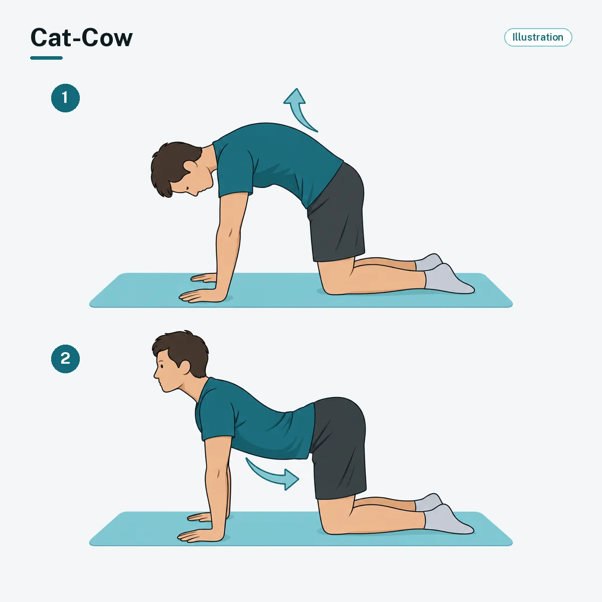 A person on hands and knees rounds the back up, then lets it sag gently.
