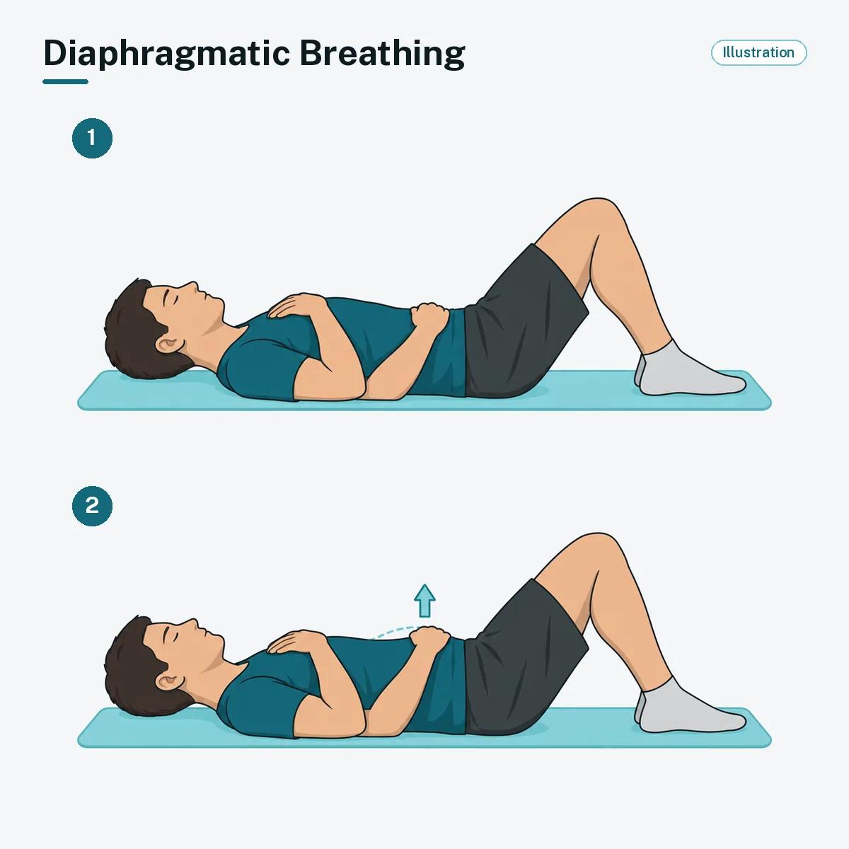 A person lying on their back with one hand on the chest and one on the belly breathes in so the belly rises.