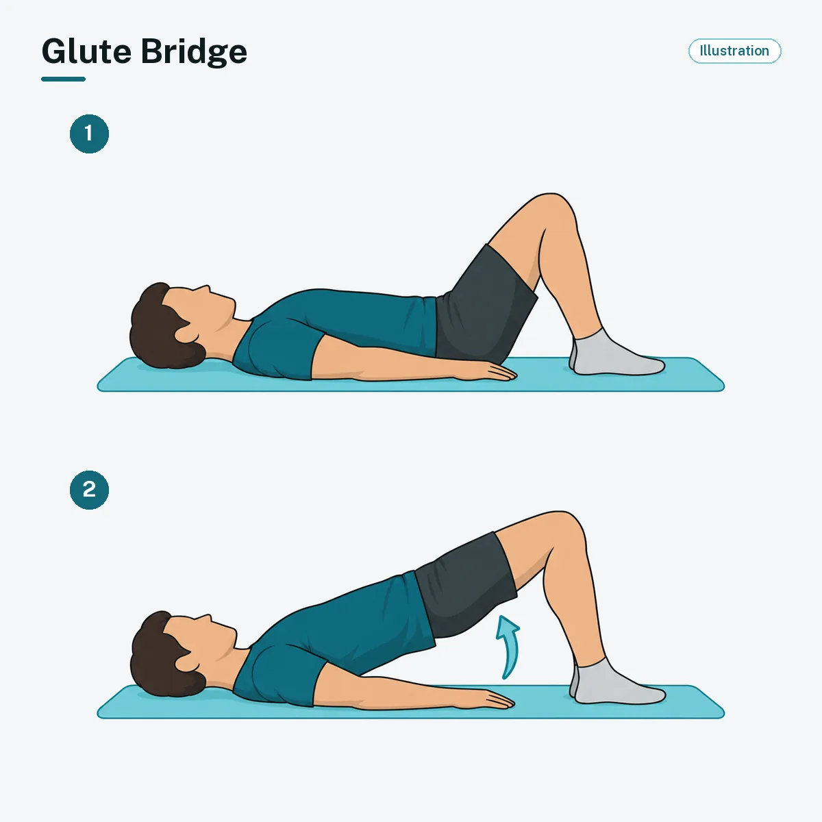 A person lying on their back with knees bent lifts the hips until shoulders, hips and knees form a straight line.