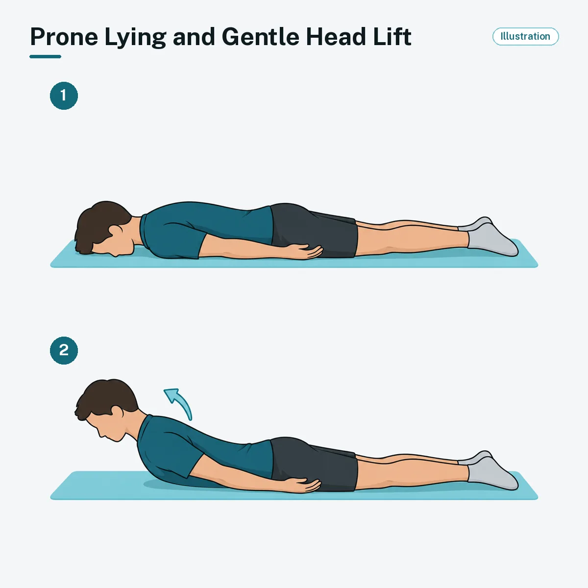 A person lying face down with arms at the sides gently lifts the head and shoulders, without pushing with the hands.