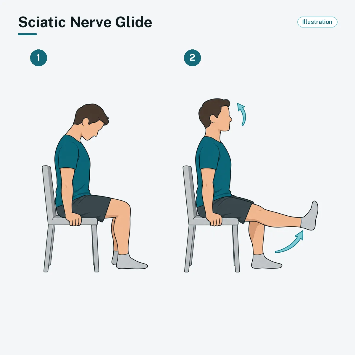 A seated person straightens one knee while lifting the head, moving from a bent knee with the chin lowered.