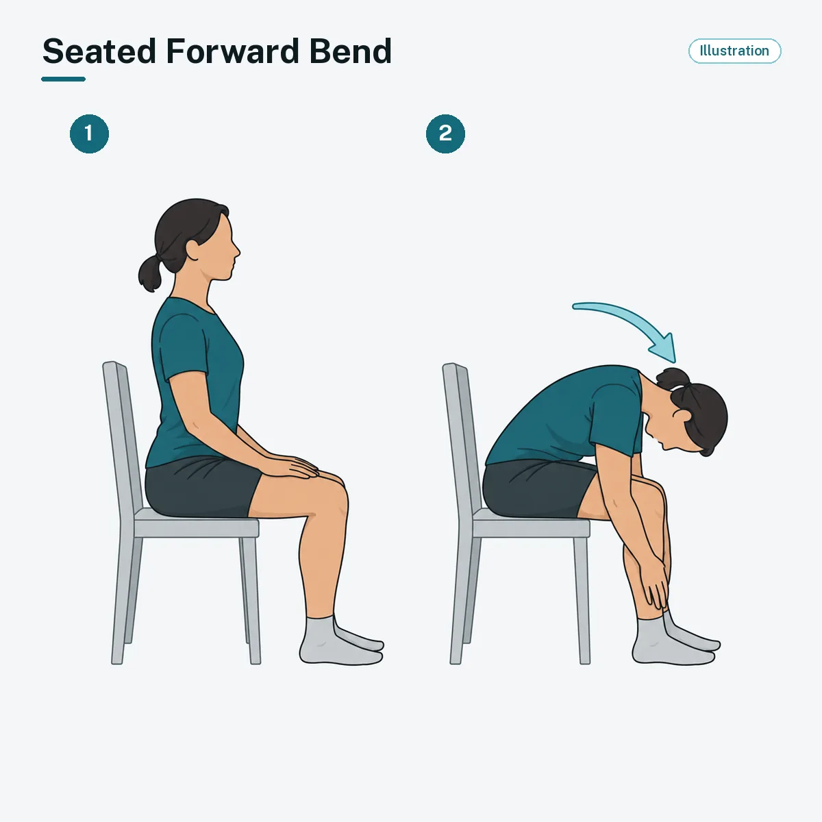 A seated person slowly bends forward toward the knees.