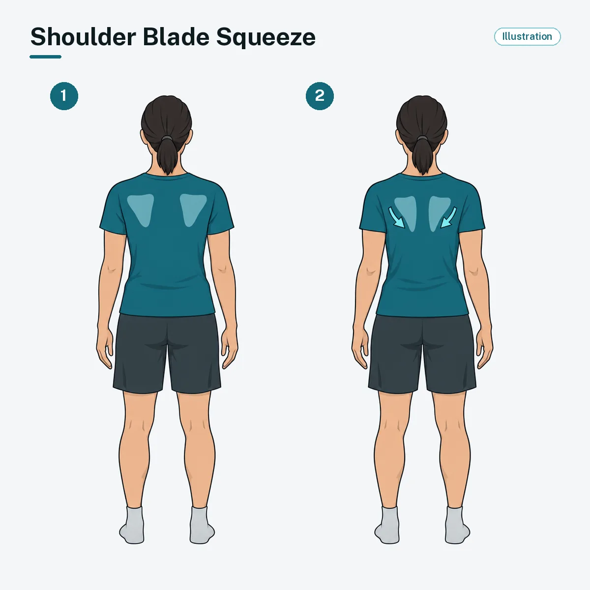 A seated person, seen from behind, squeezes the shoulder blades together and down.