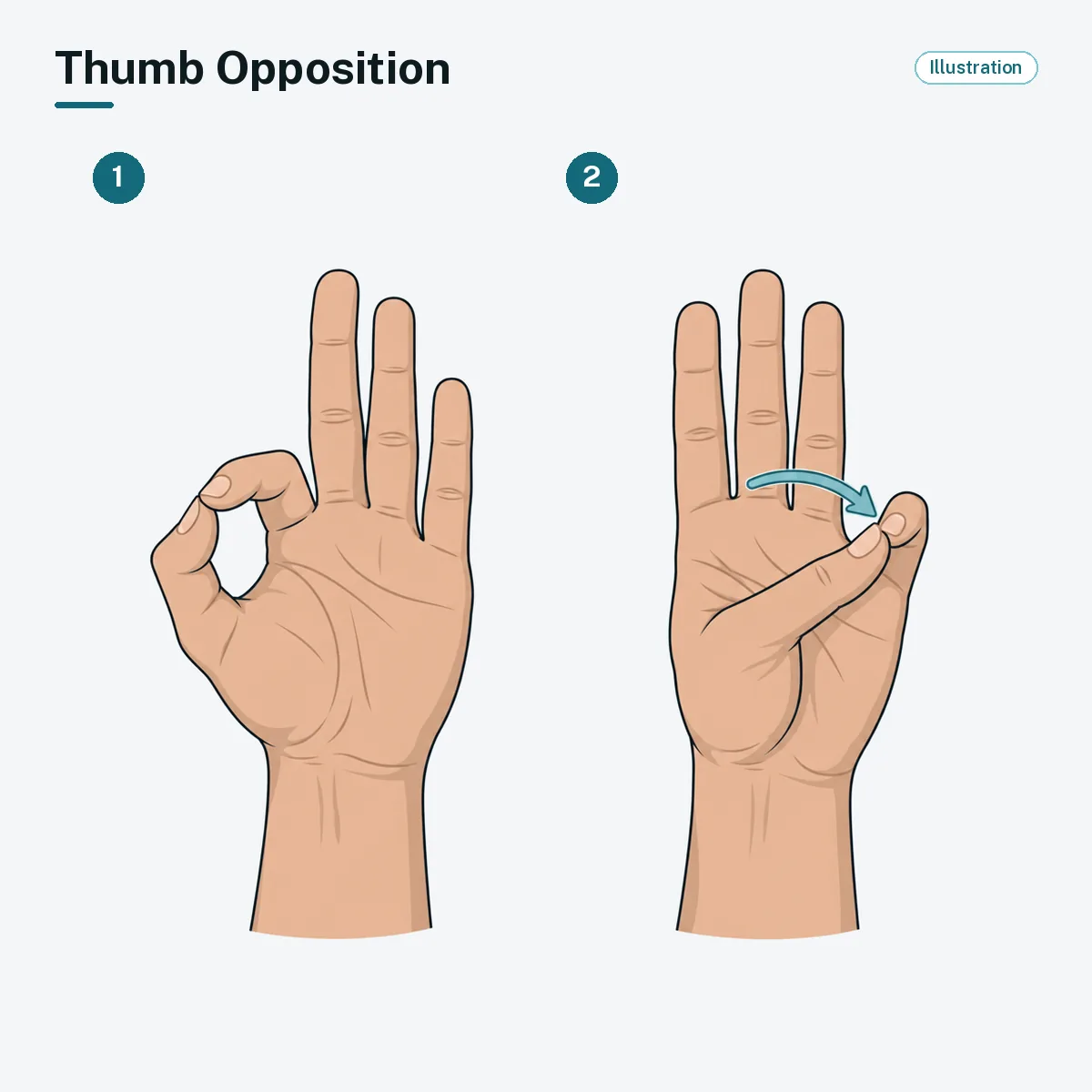 A hand touches the thumb to the tip of the index finger, then to the tip of the little finger.