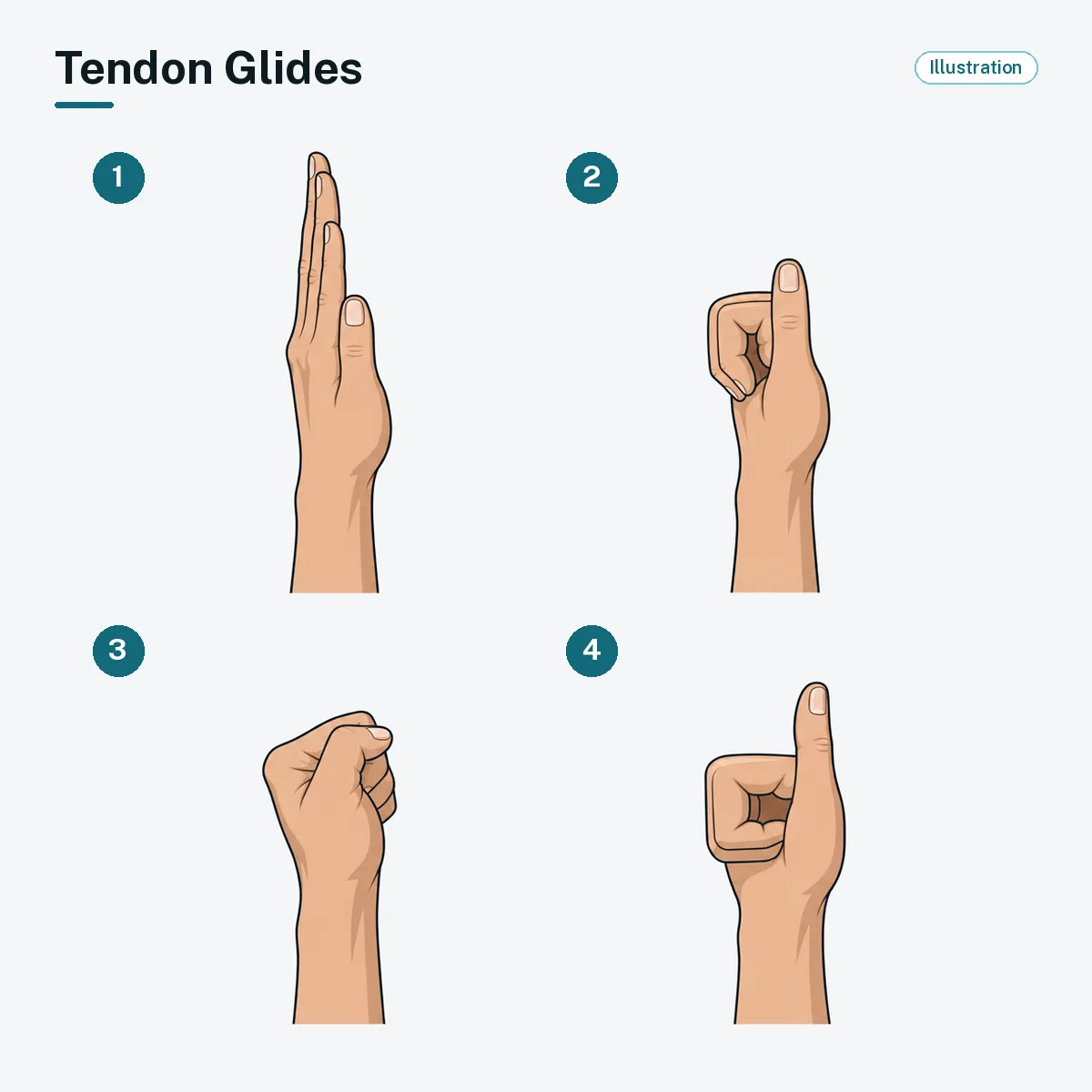A hand moves through four positions: straight hand, hook fist, full fist and flat fist.