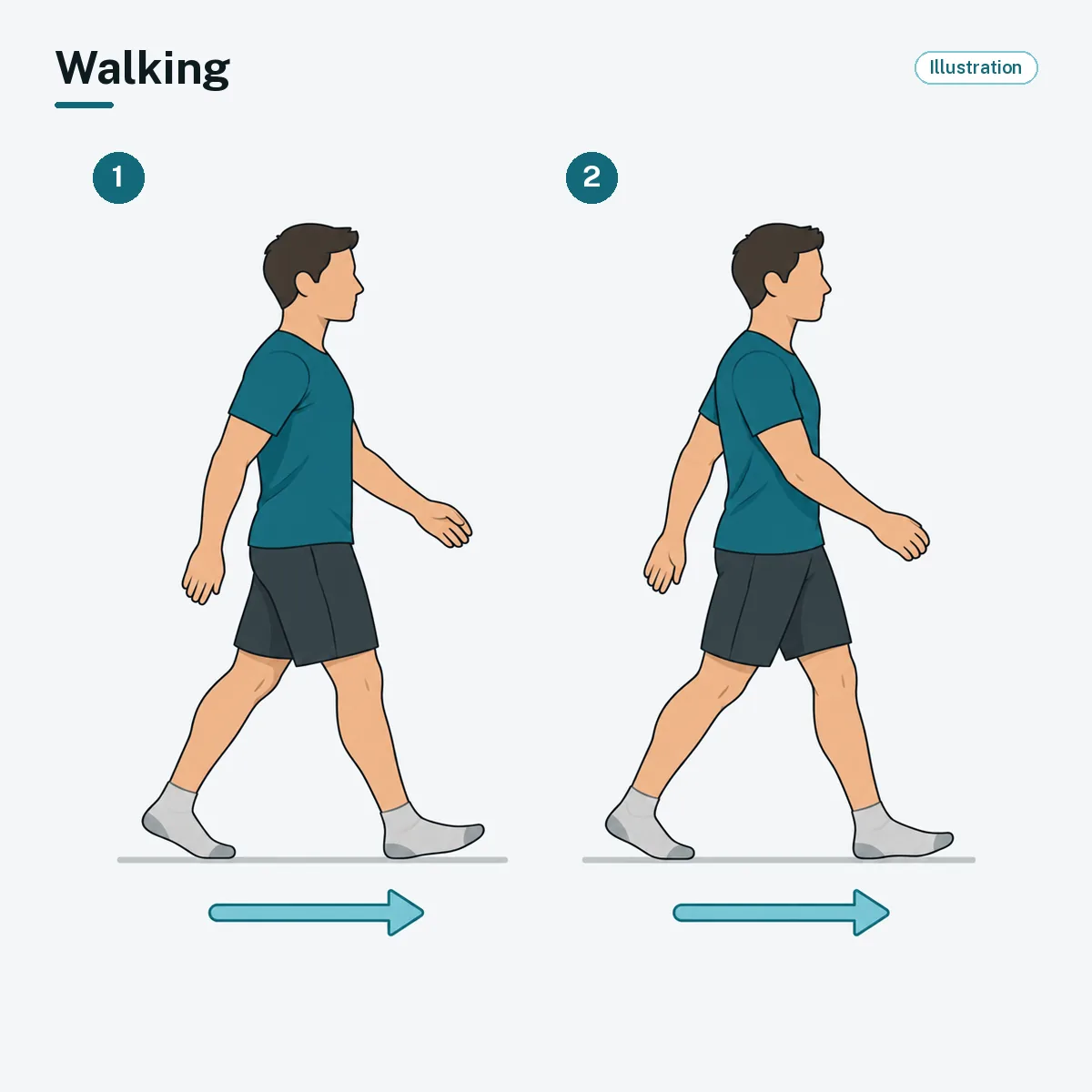 A person walking at an easy pace, shown at two points in the stride.