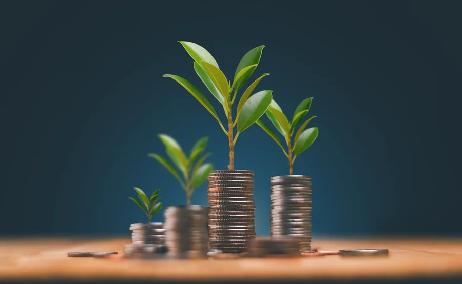 Stacks of coins with plants growing out of them
