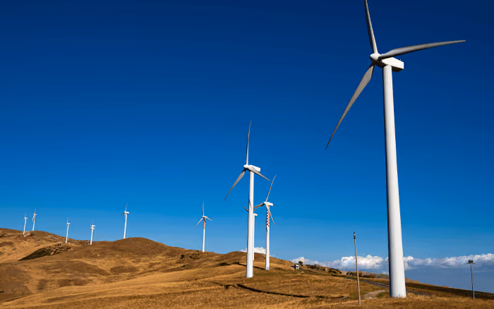 windfarm