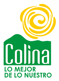 Ayuntamiento de Colina
