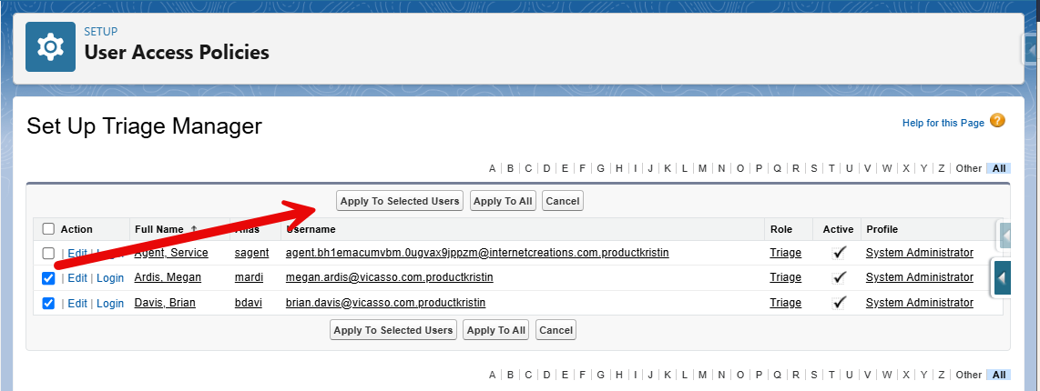 a screenshot from Salesforce showing the steps to set Triage Manager Access