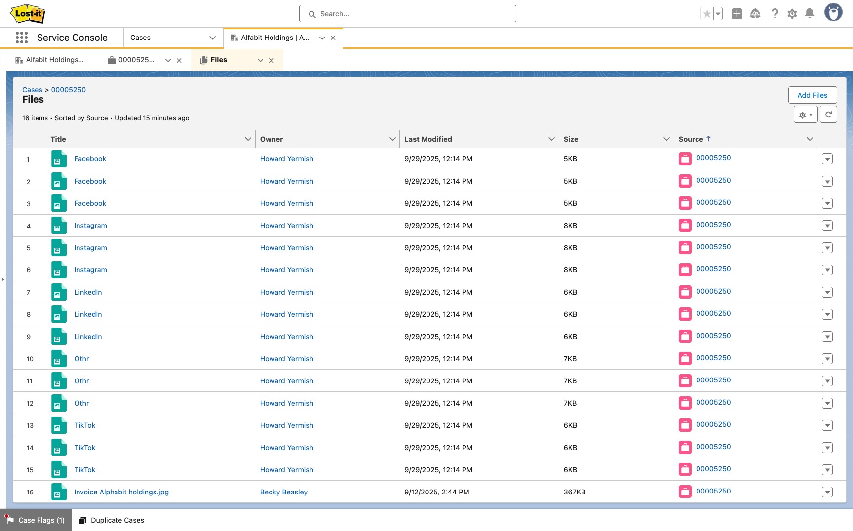 A screenshot from Salesforce of a files list without using Vicasso's File Slayer app.