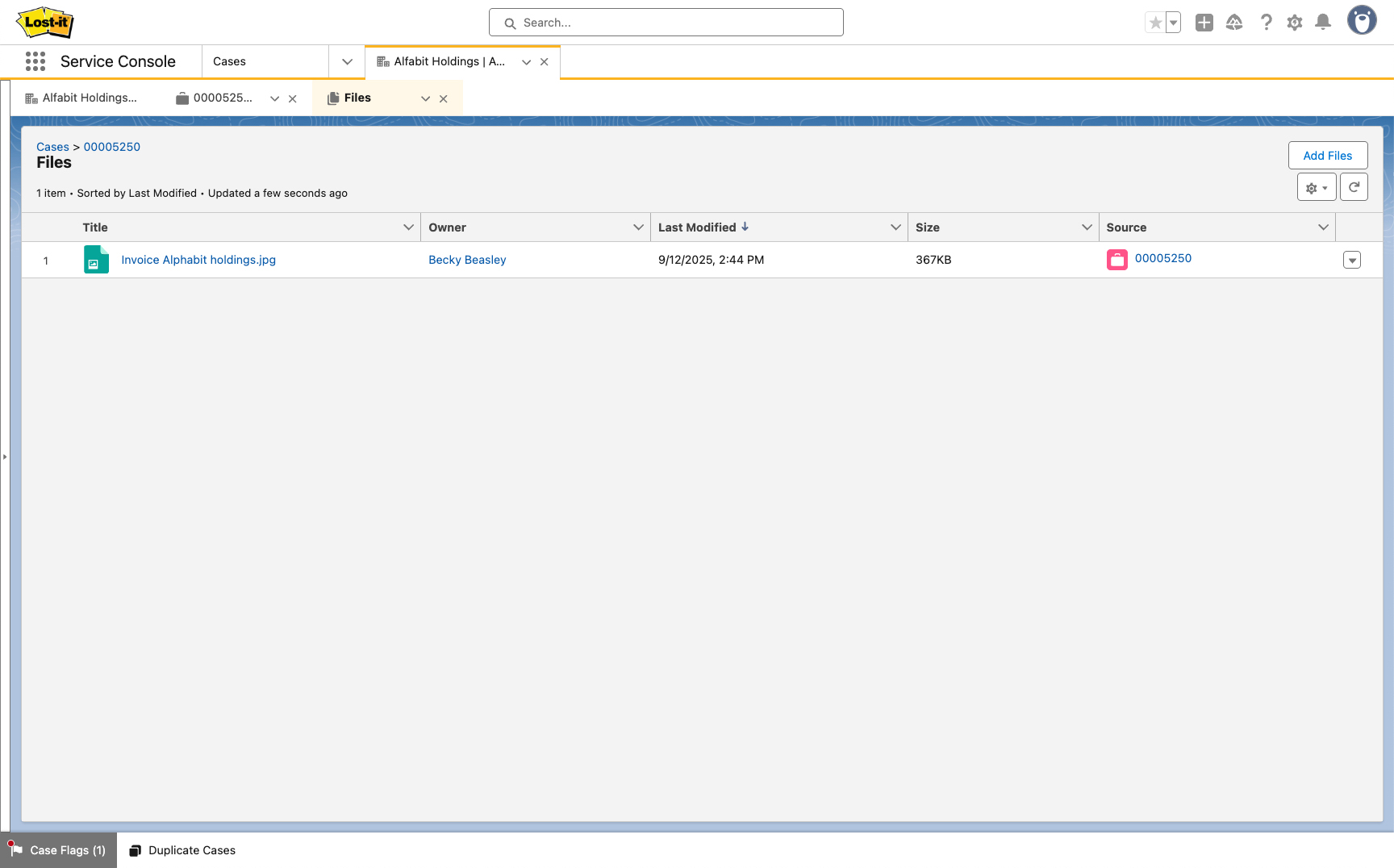 A screenshot from Salesforce of a files list using Vicasso's File Slayer app.