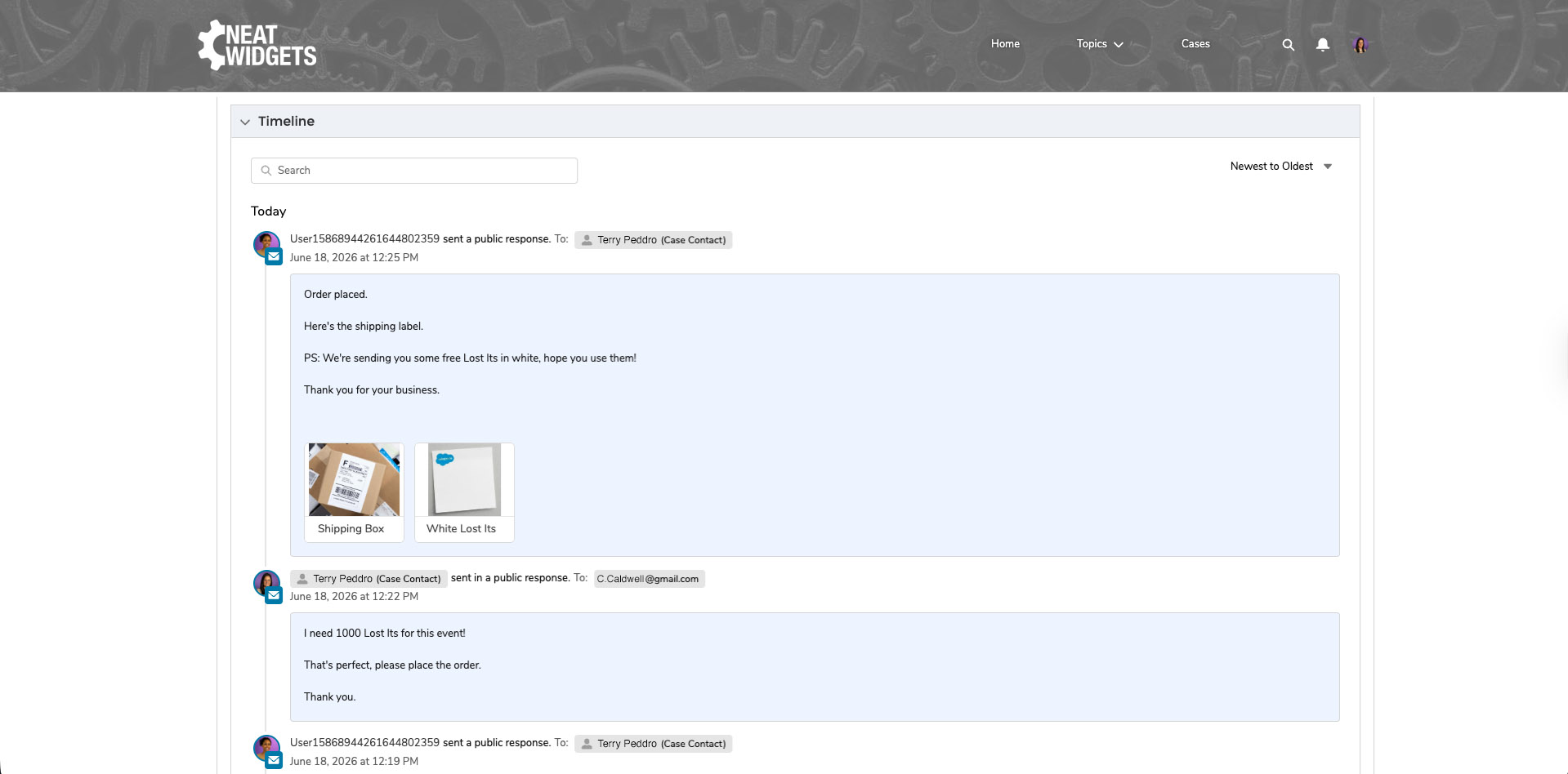 Screenshot of the Community portal Timeline using Vicasso's app Email to Case Premium for Salesforce.
