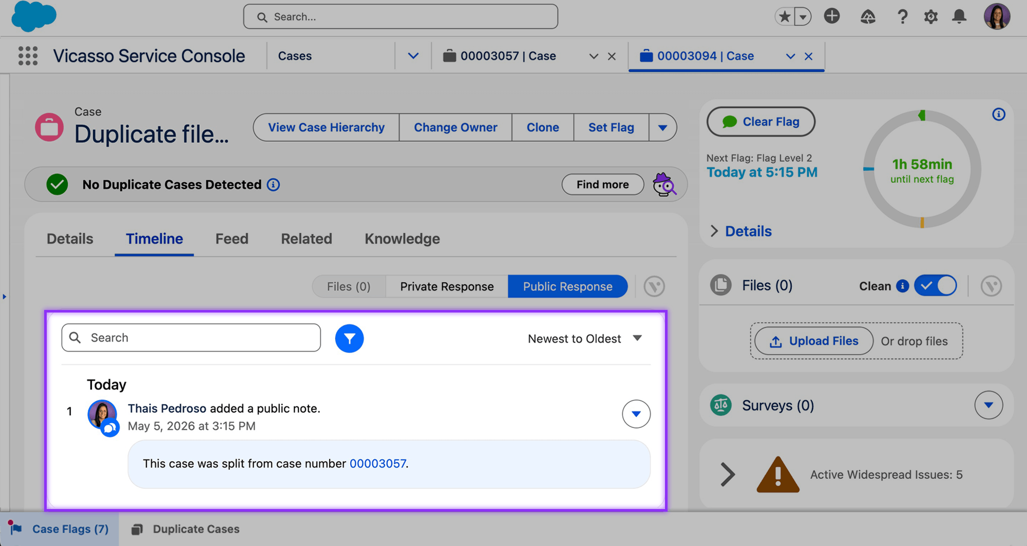 A screenshot of Vicasso's Case Split app for Salesforce showing the comment of the case split in the Timeline.