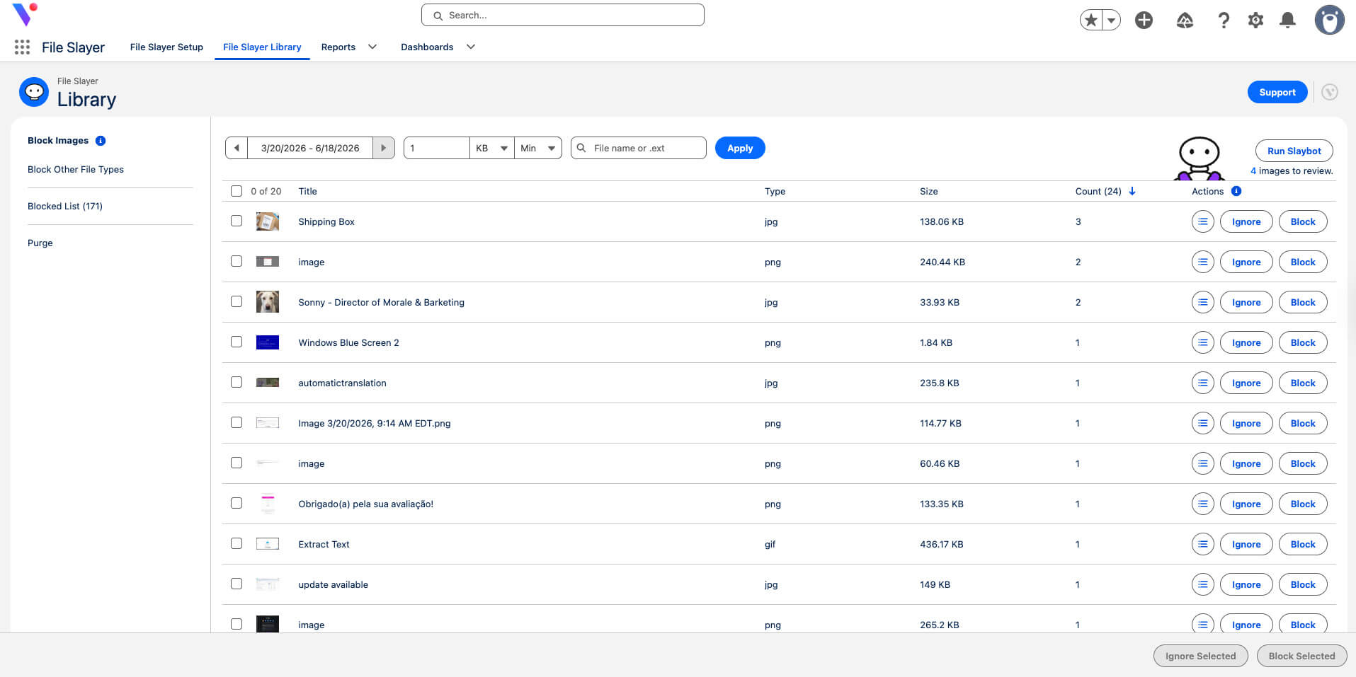 a screenshot of the File Slayer Library, where admins can control how files are handled for their users.