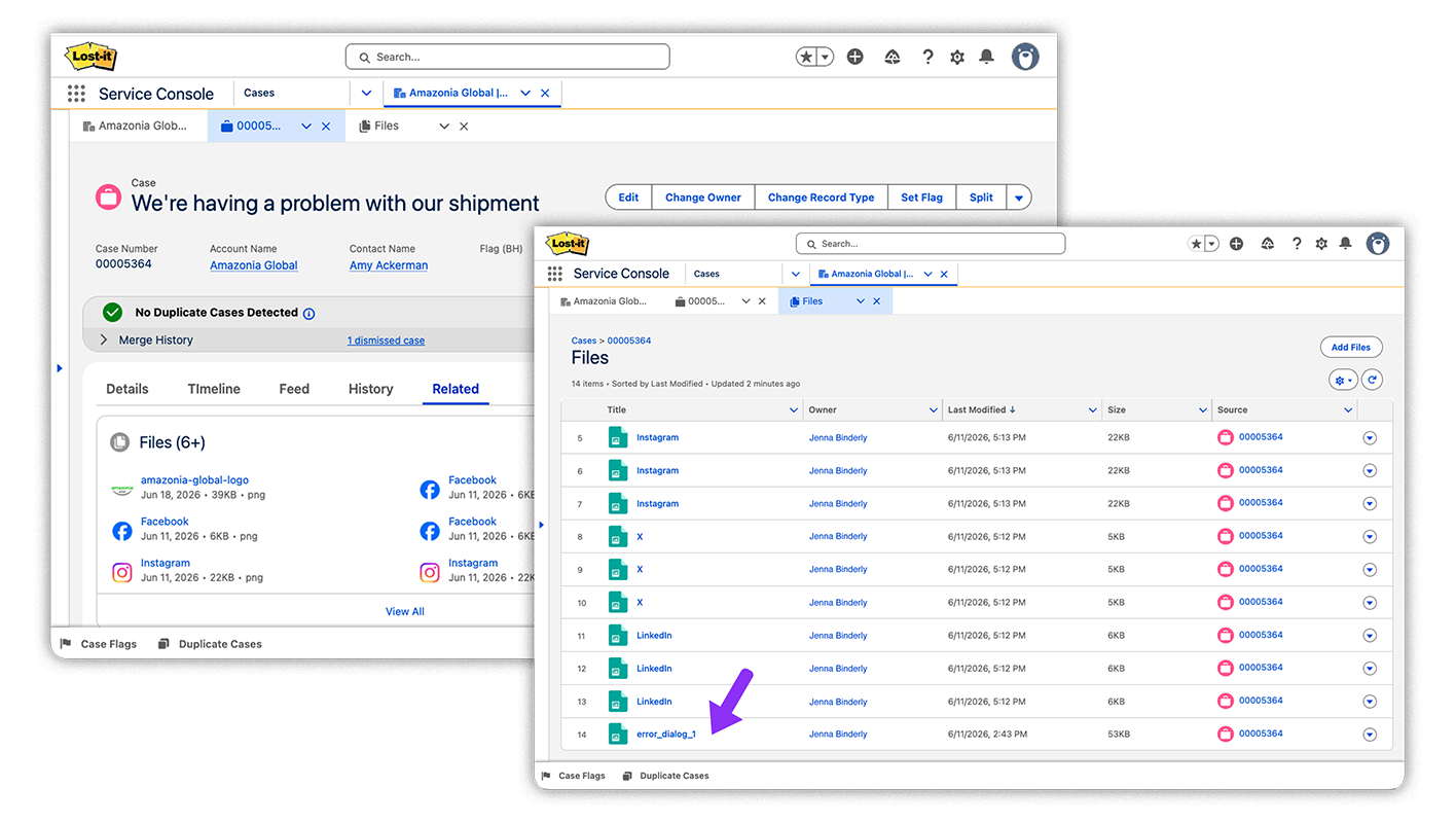 Screenshots of a case page layout and related files list showing all the junk files that reps have to dig through to find the one file they need to work a case.