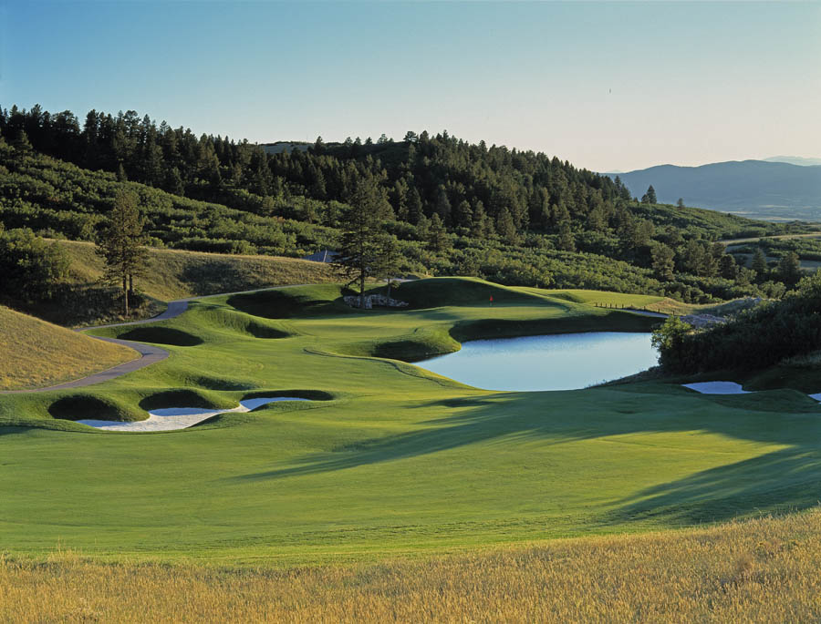 golf course for golf tournament