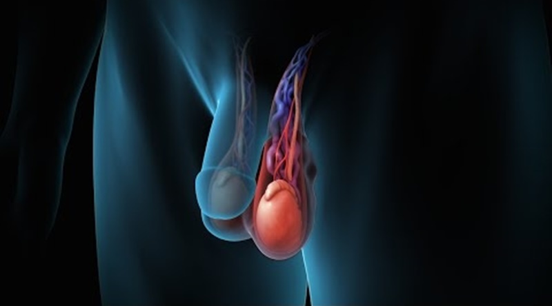 đau tinh hoàn nhưng không sưng