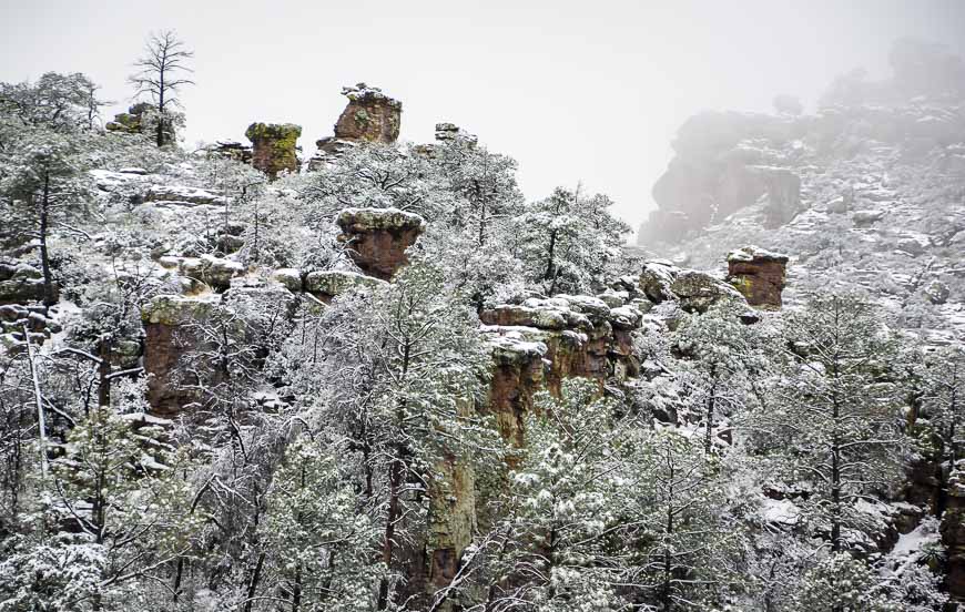 Chiricahua National Monument camping, mountain covered in snow 