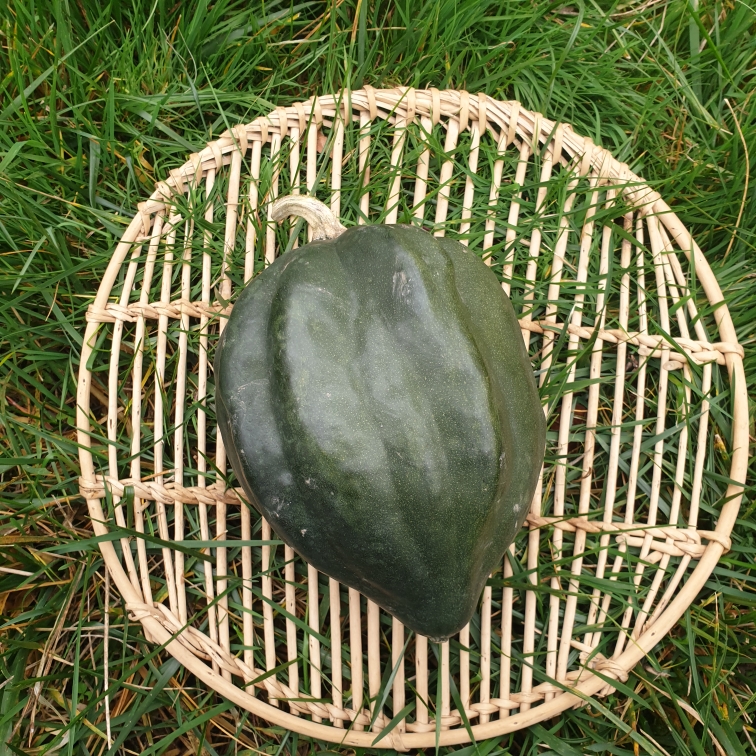 photo producteur local isador