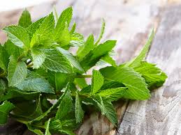 produits du mois isador