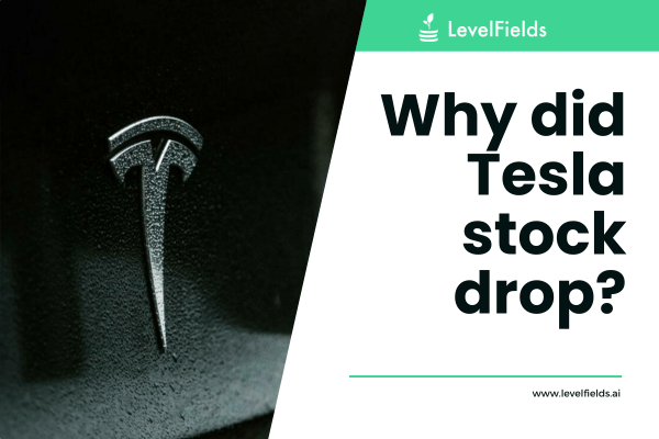 Tesla Falls 12% Post Q2 Earnings Miss; Rivian and Lucid Stocks Decline